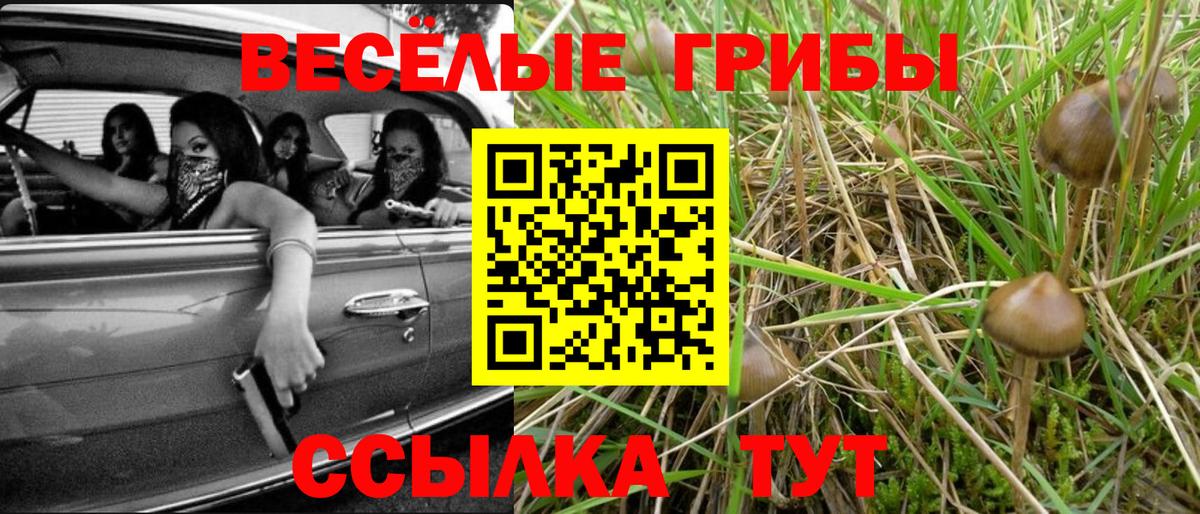 Урус-Мартан  Псилоцибиновые грибы мухоморы  Вход с VPN 