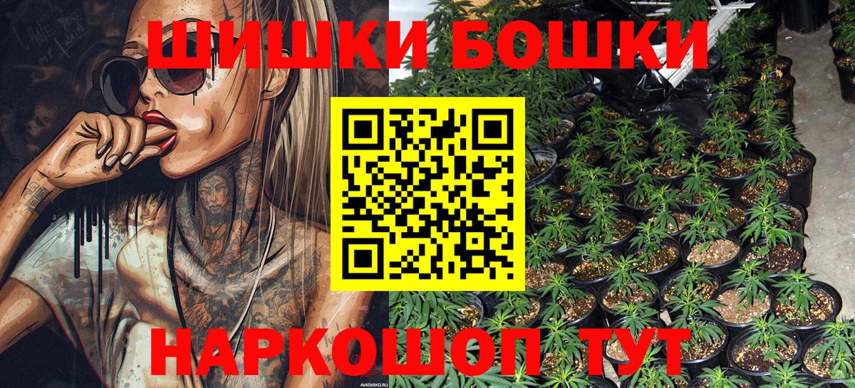 Бошки Шишки Bruce Banner  Бошки Шишки семена  Вход с VPN  Канабис план  Шишки марихуана конопля  Урус-Мартан 